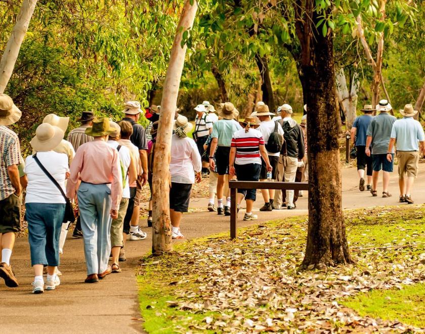 woodland walking tour
