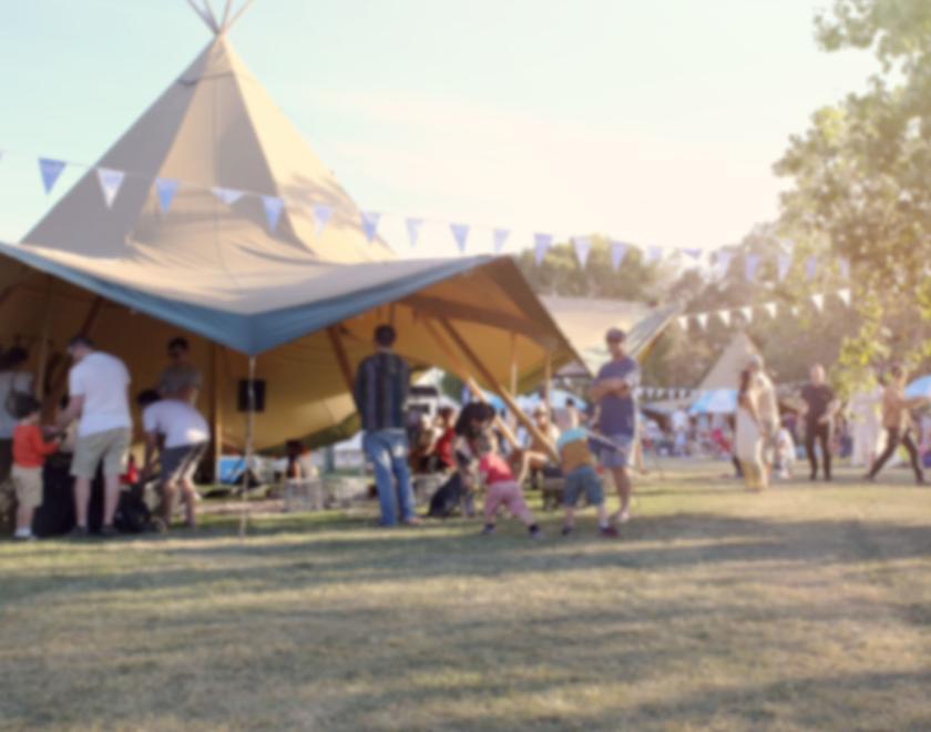 Crowd at a festival