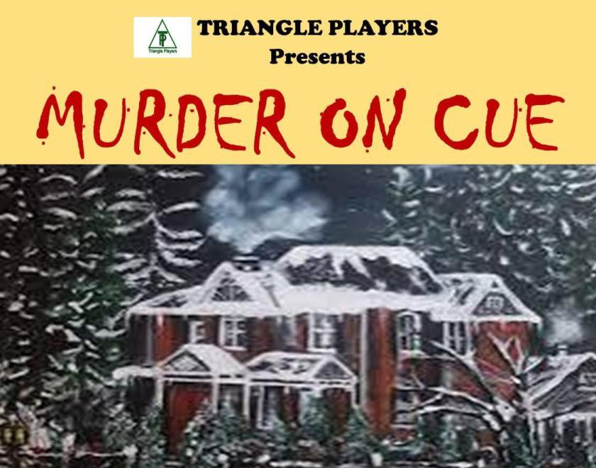 Poster with a blurry image of a snow-covered retirement home